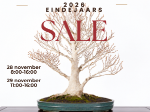 2026 eindejaarssale website (300 x 225 px) (1)