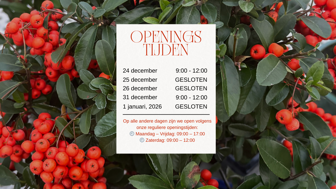 Copy of 2025 Opening Hours -EN (Website)