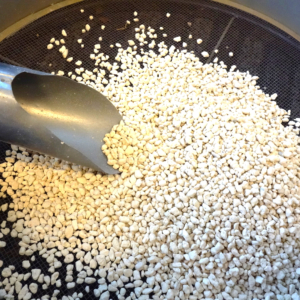 2026 Bonsai Verpotworkshop