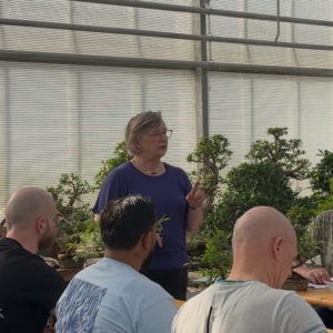 2026 Open Huis Bonsai Kennismakingsworkshop